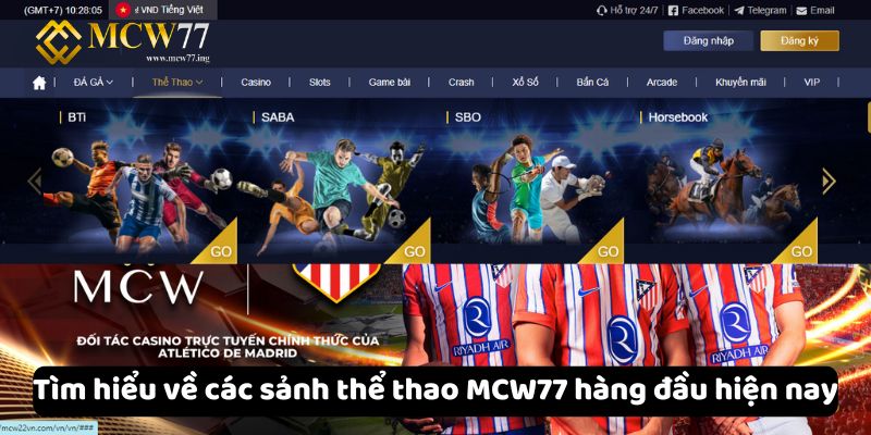 Tìm hiểu về các sảnh thể thao MCW77 hàng đầu hiện nay Tìm hiểu về các sảnh thể thao MCW77 hàng đầu hiện nay